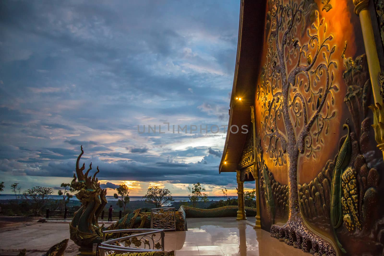 Art tree glow on the back of the hall of the temple in Thailand.