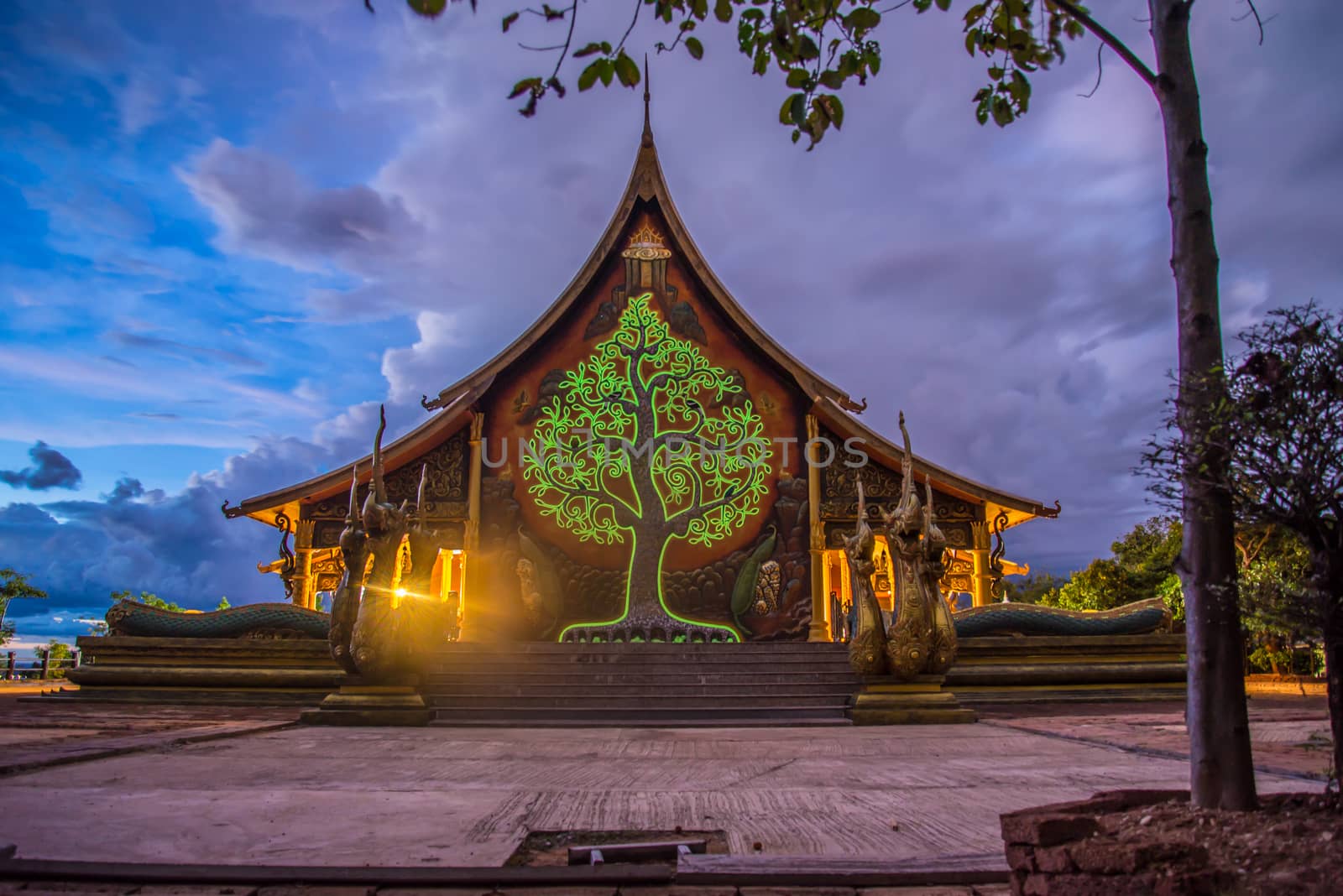 Art tree glow on the back of the hall of the temple in Thailand.
