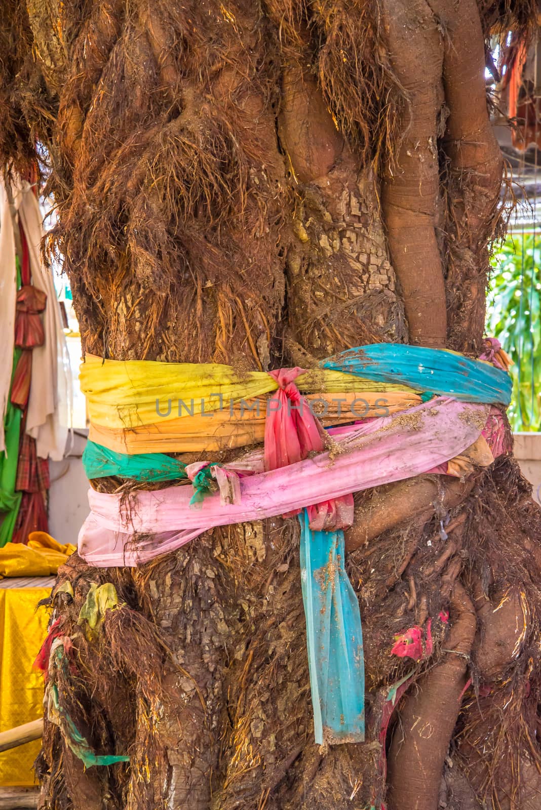 Thread colors to tie around a tree.