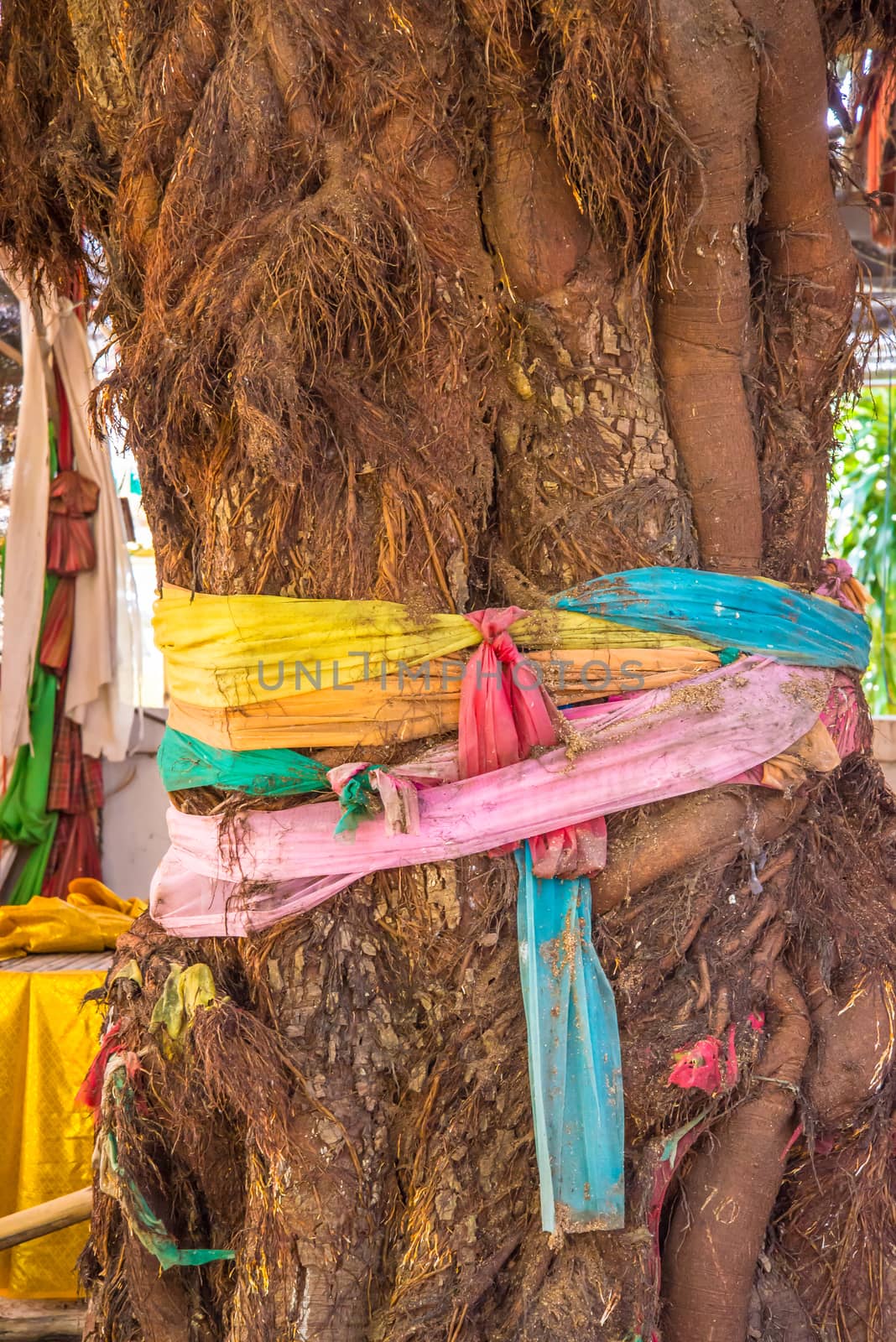 Thread colors to tie around a tree.