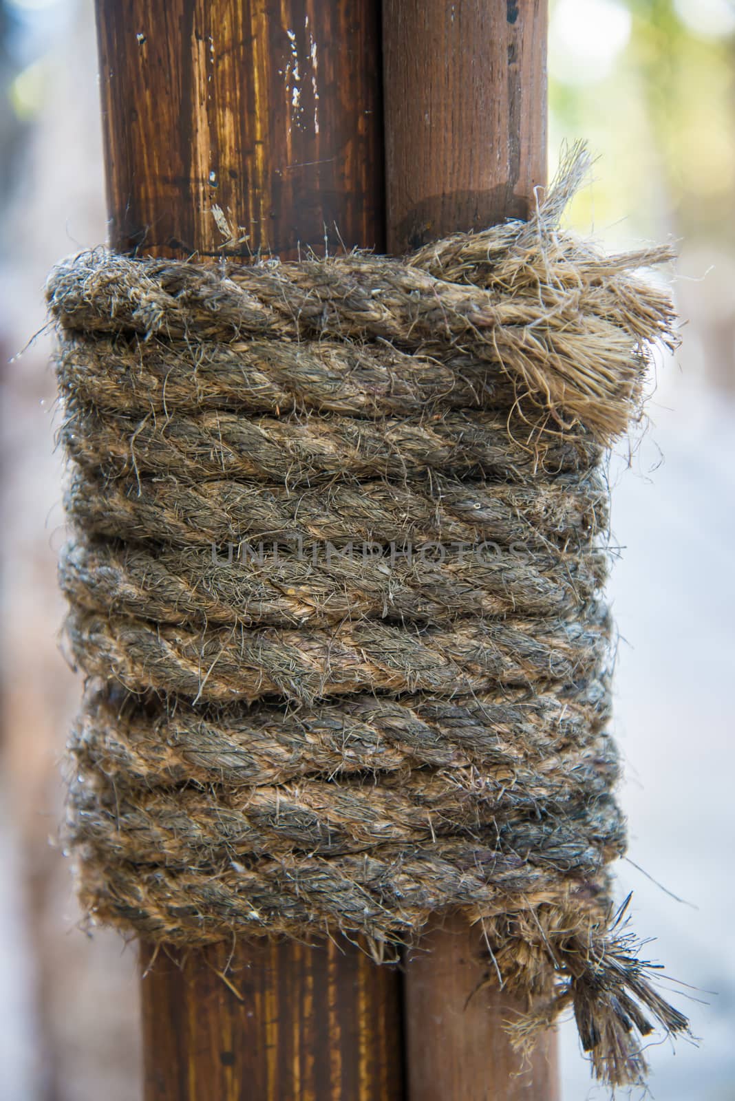 Hemp rope wrapped around the rods to seized the rods to the pole.