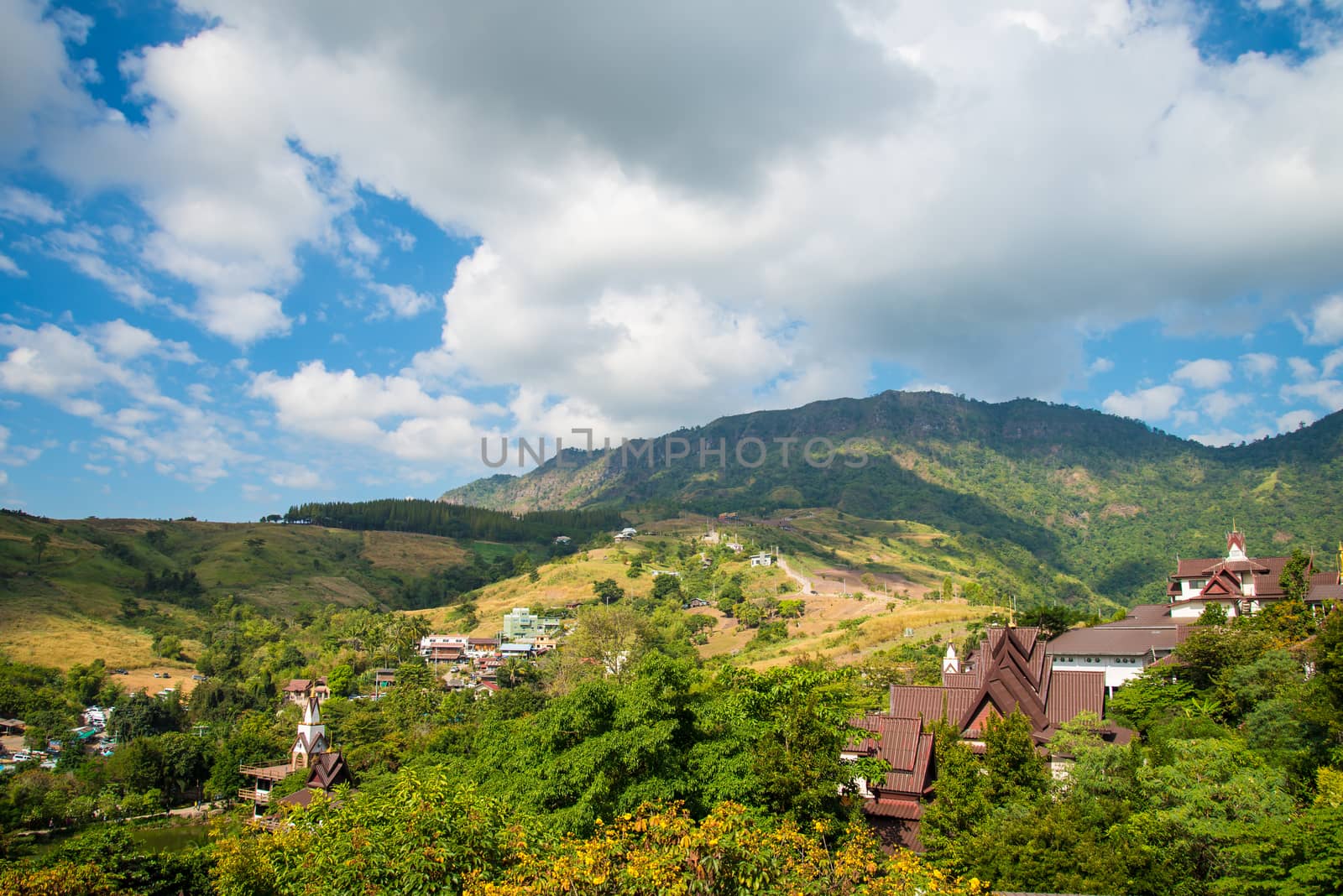 Green Mountain The rich vegetation in Thailand, KHAO KHO, Abundance