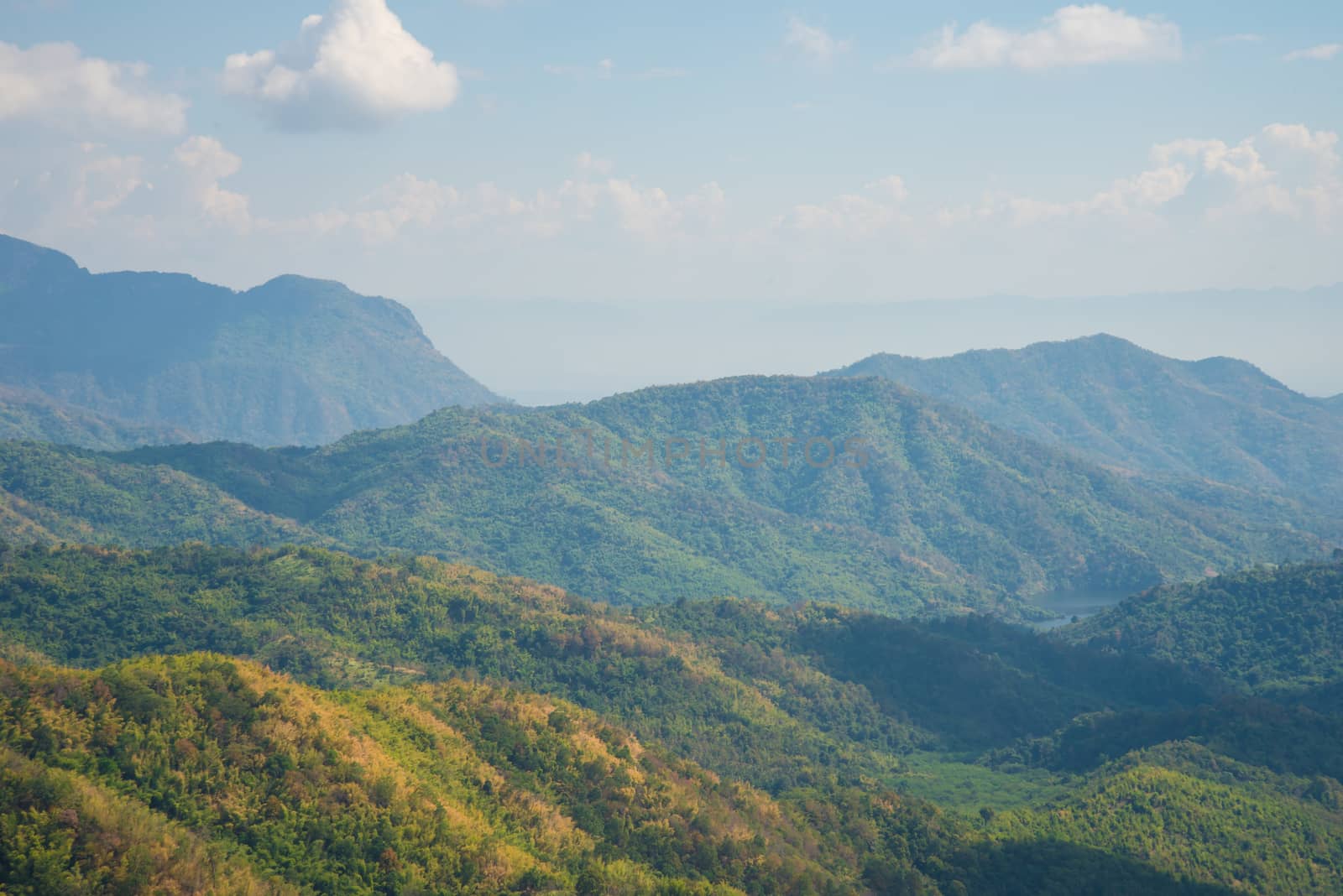 Green Mountain The rich vegetation in Thailand, KHAO KHO, Abundance