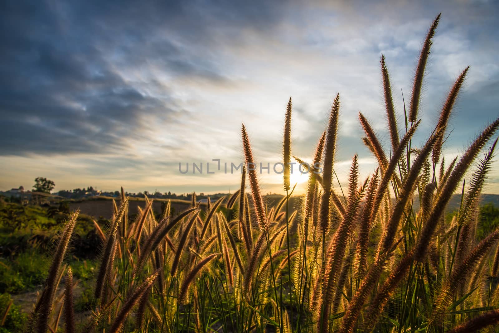 Sunrise in the morning, surrounded by mountains and meadows.