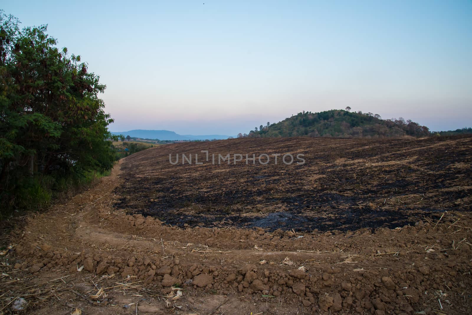 The mountain was on fire for agriculture. Burning mountain to land use.