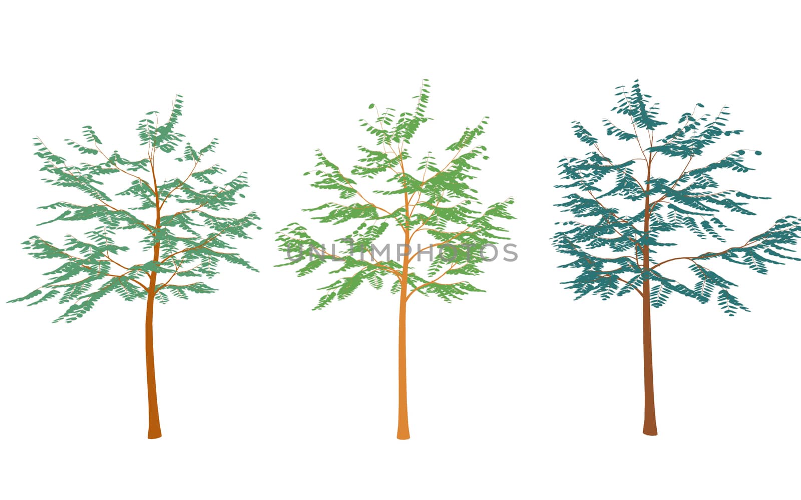 Different colored trees in flat design.Set isolated on white