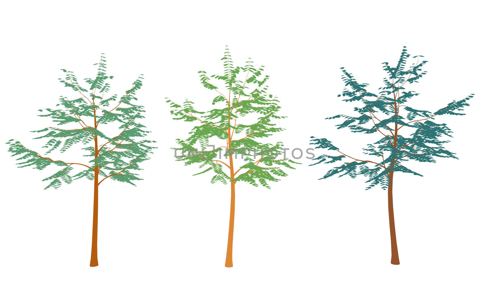 Different colored trees in flat design.Set isolated on white