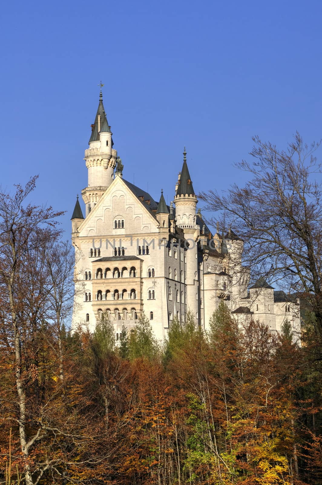 Castle of Neuschwanstein near Munich in Germany on an autumn day by anderm