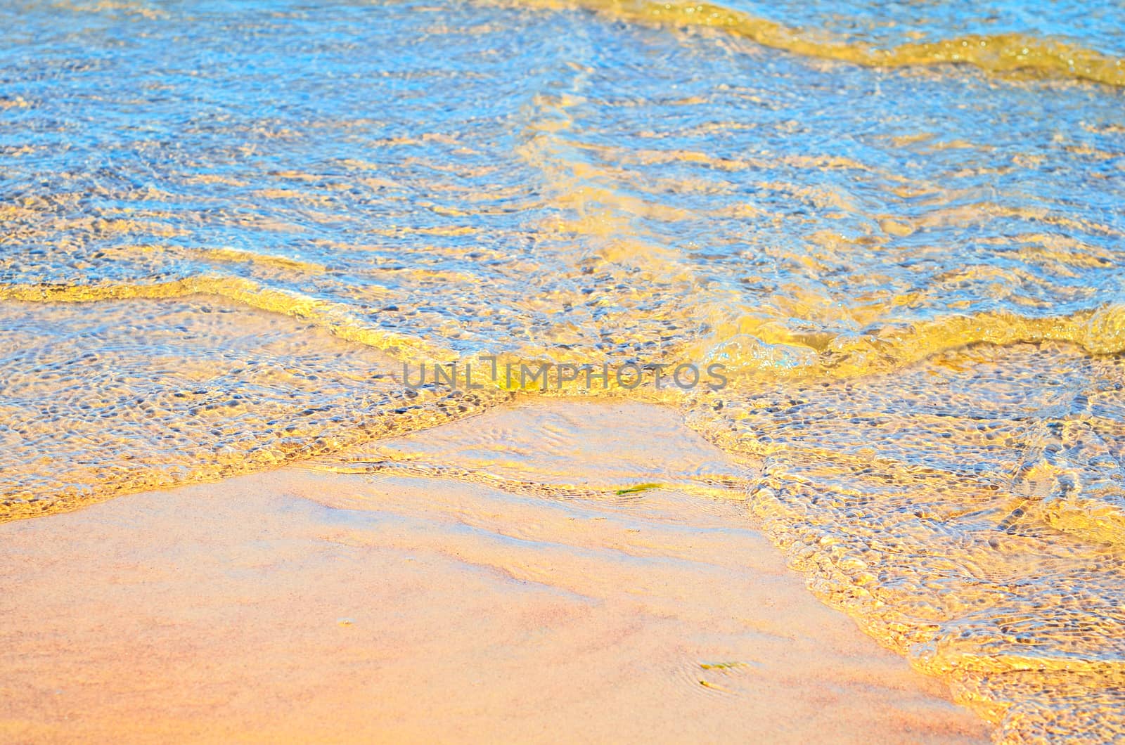 Coastal soft waves on the sandy beach