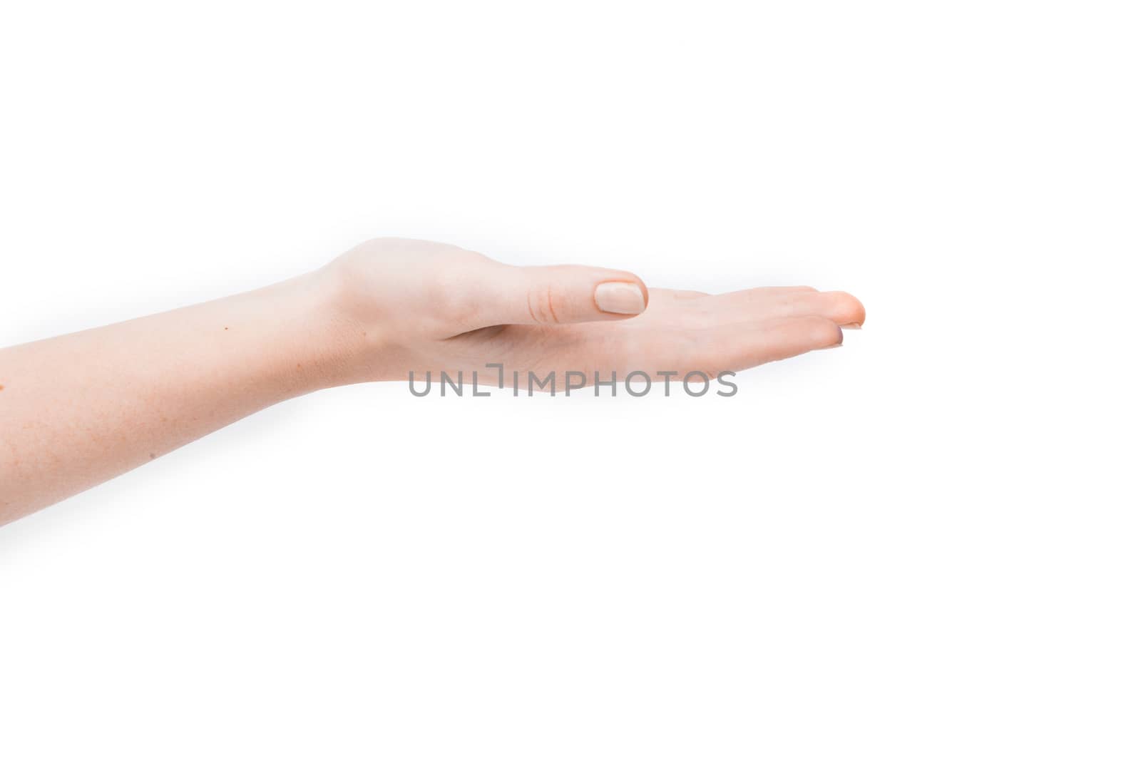 Female hand showing gesture on an isolated white background