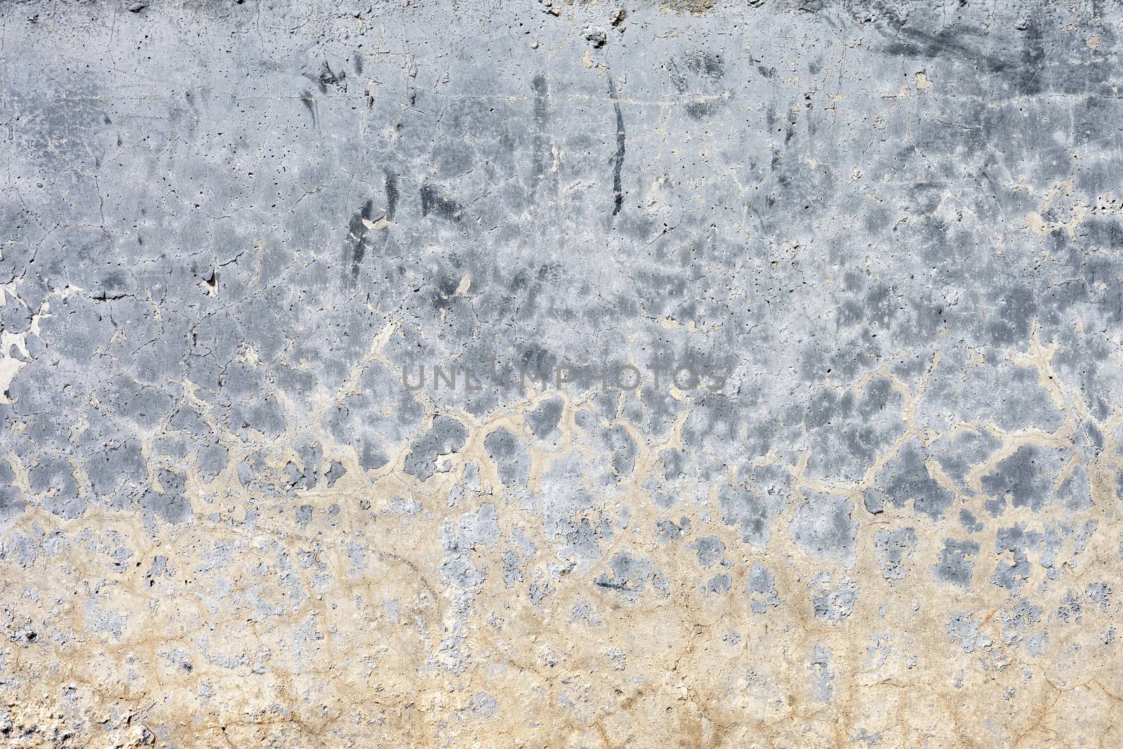 Grunge white background cement old texture wall