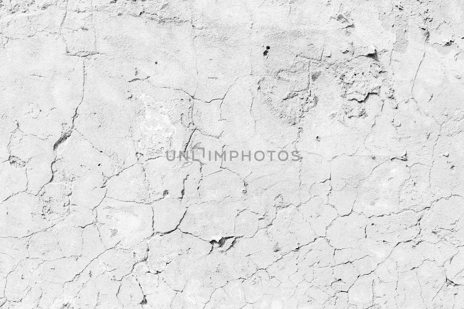 Grunge white background cement old texture wall