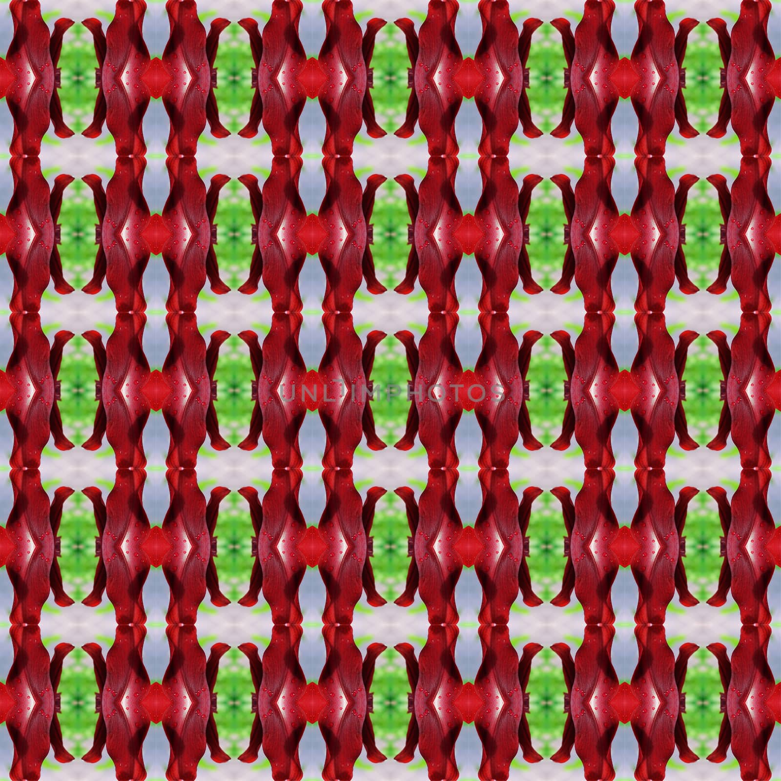 Hippeastrum full bloom or amaryllis flowers seamless use as pattern and wallpaper.