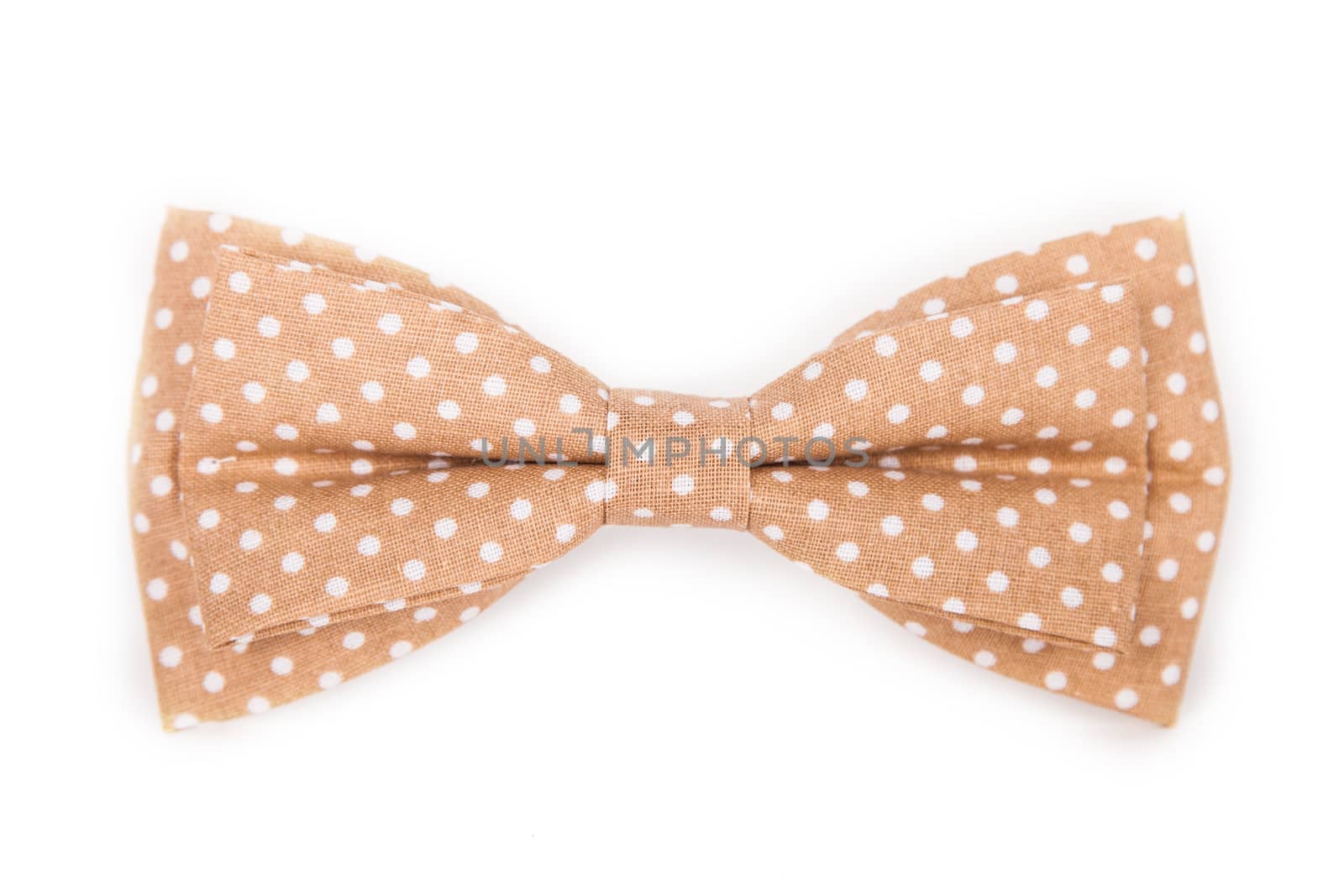 brown bow tie with white polka dots on an isolated white background