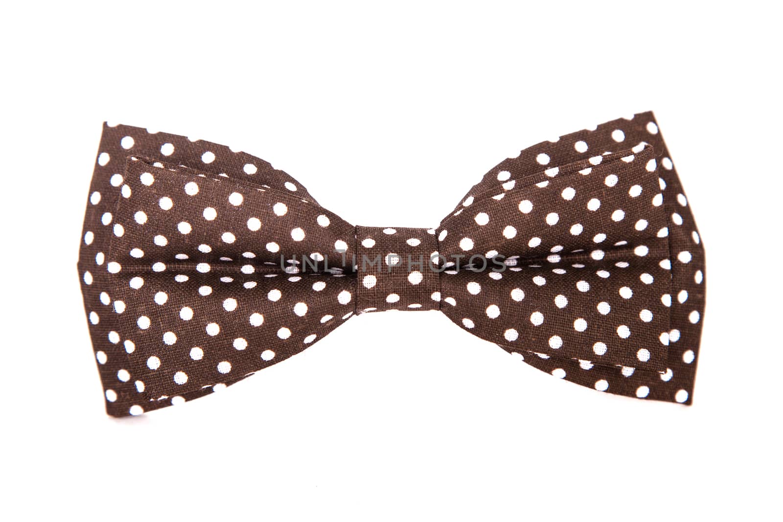 chocolate-colored bow tie with white polka dots on an isolated white background