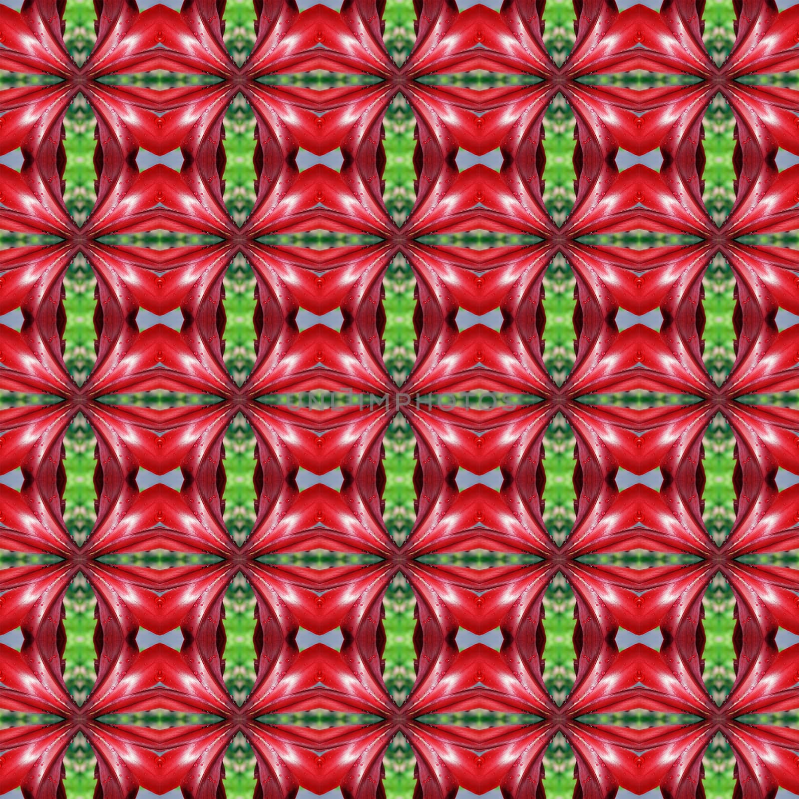 Hippeastrum full bloom or amaryllis flowers seamless use as pattern and wallpaper.