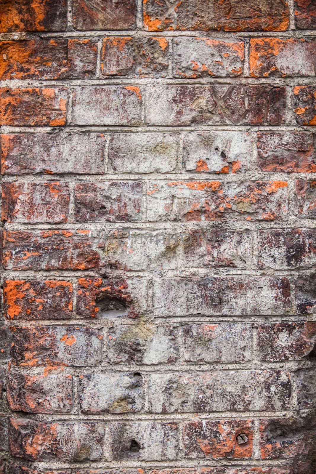Background texture. The wall of the old red brick splashed with white paint