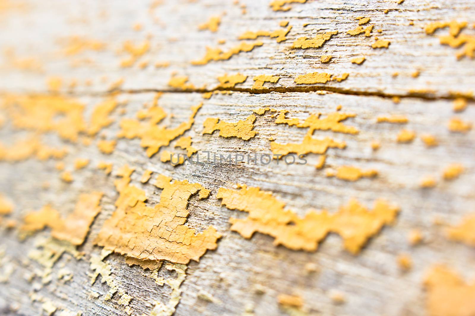 Teak wood texture and background