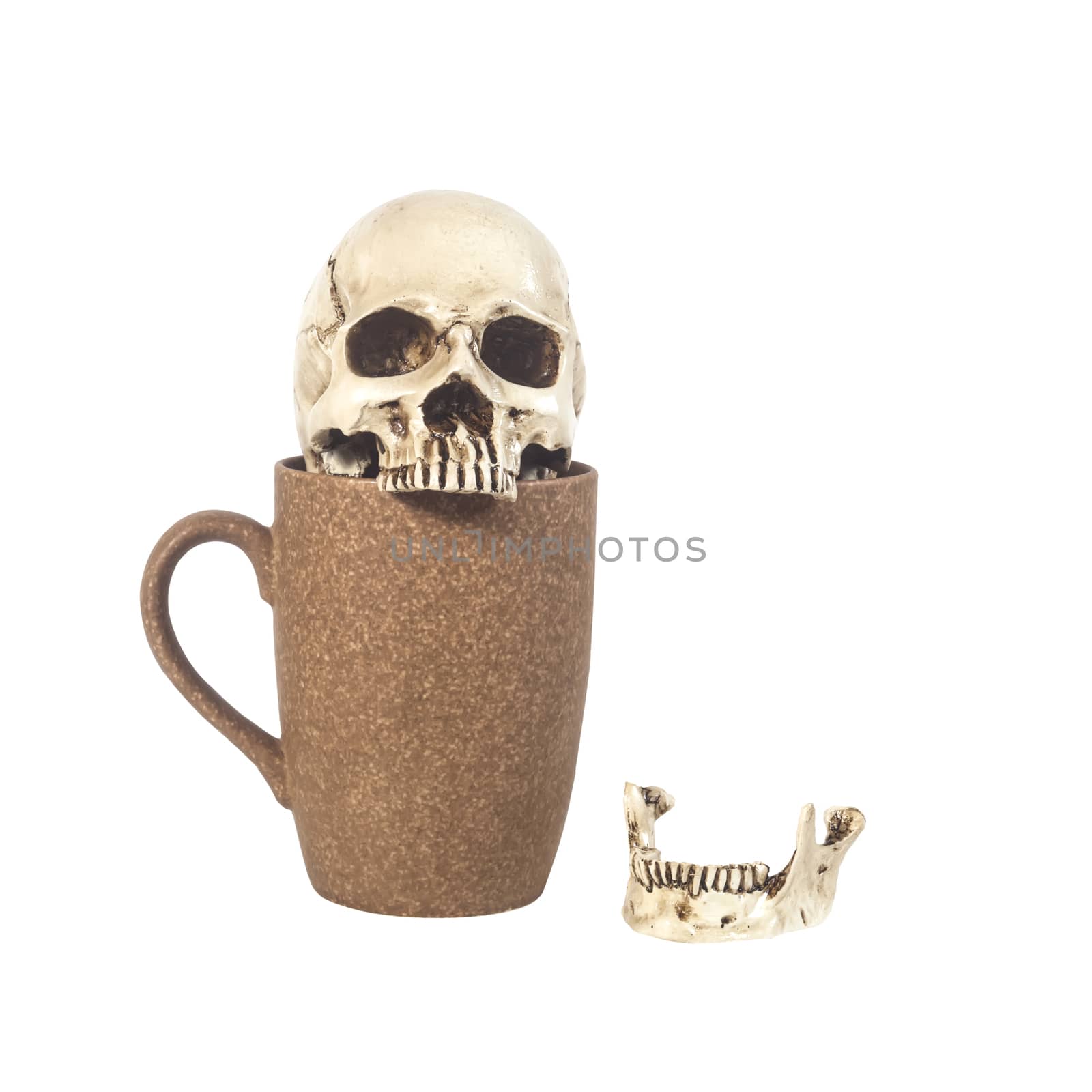 human skull in coffee cup on white background
