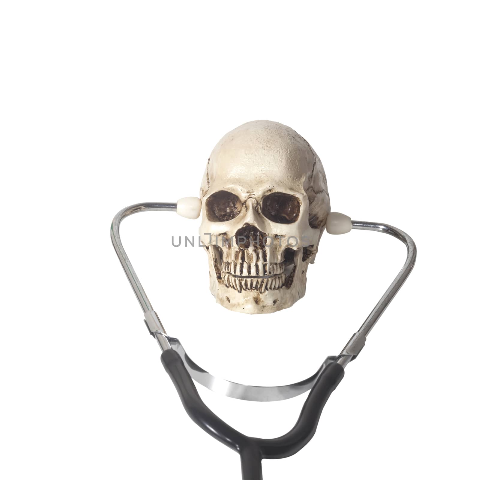 human skull and stethoscope on white background