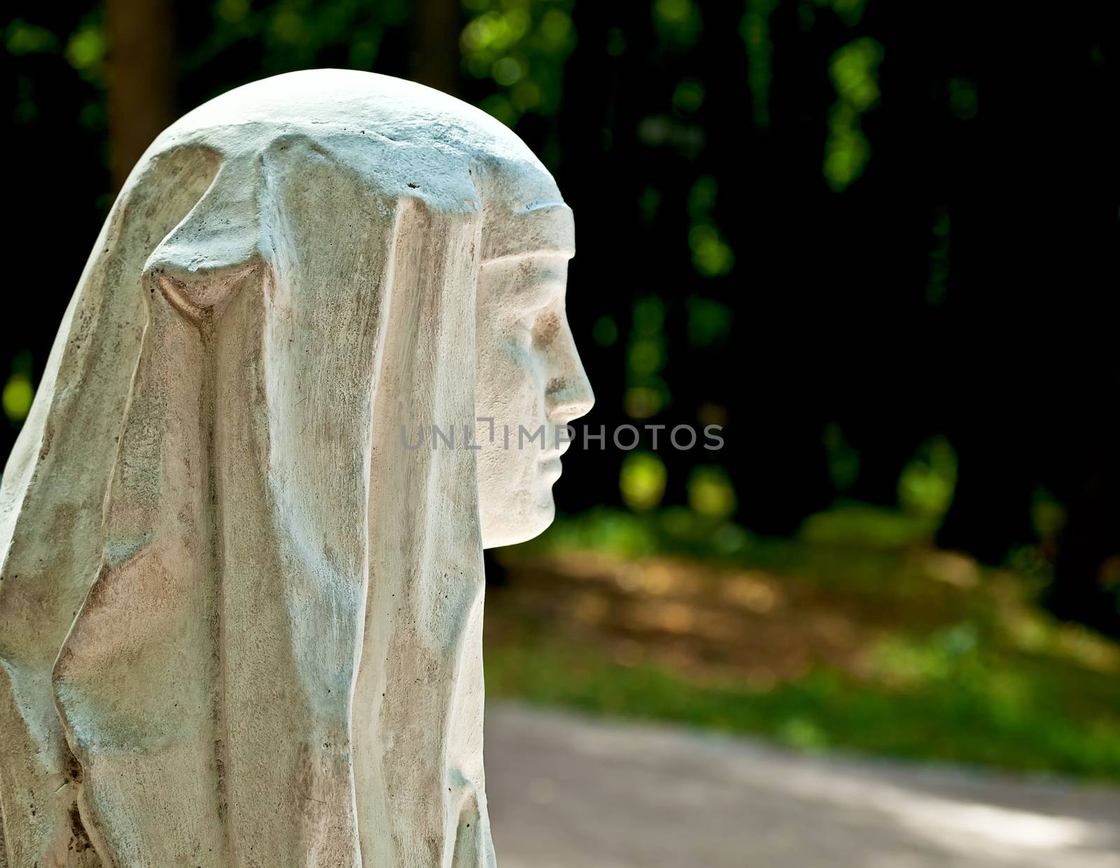 Stone profile of a beautiful young woman in the park in summer