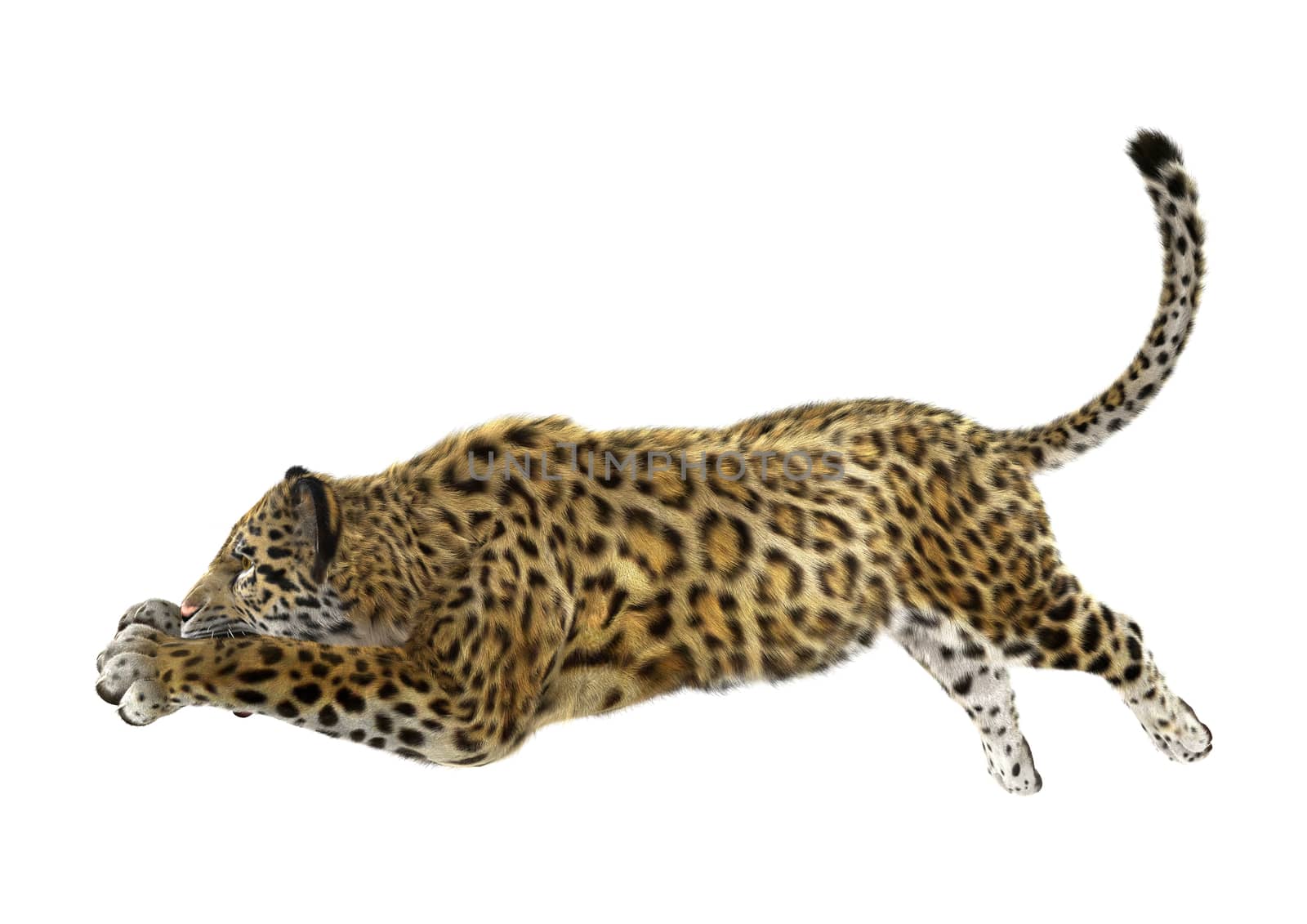 3D digital render of a big cat jaguar jumping isolated on white background