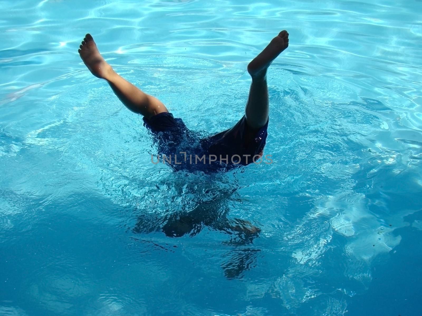 diving in the pool