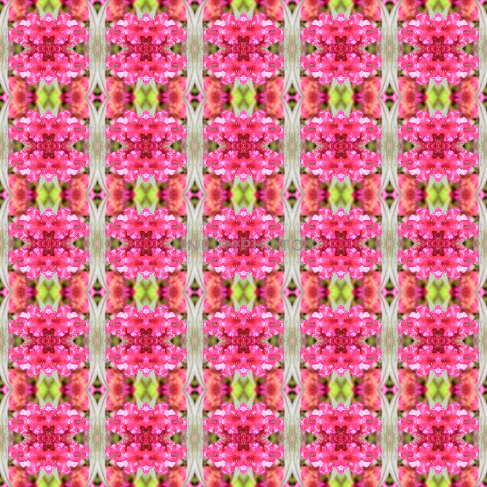 Cockscomb, Pink Celosia argentea or Chinese Wool Flower seamless use as pattern and wallpaper.