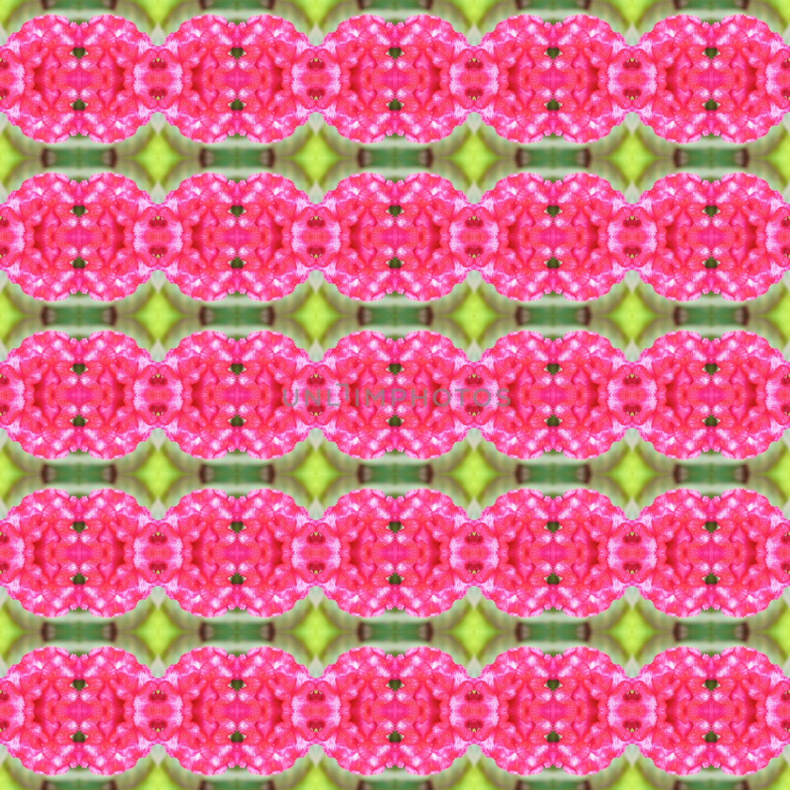 Pink Celosia argentea , Cockscomb or Chinese Wool Flower seamless use as pattern and wallpaper.