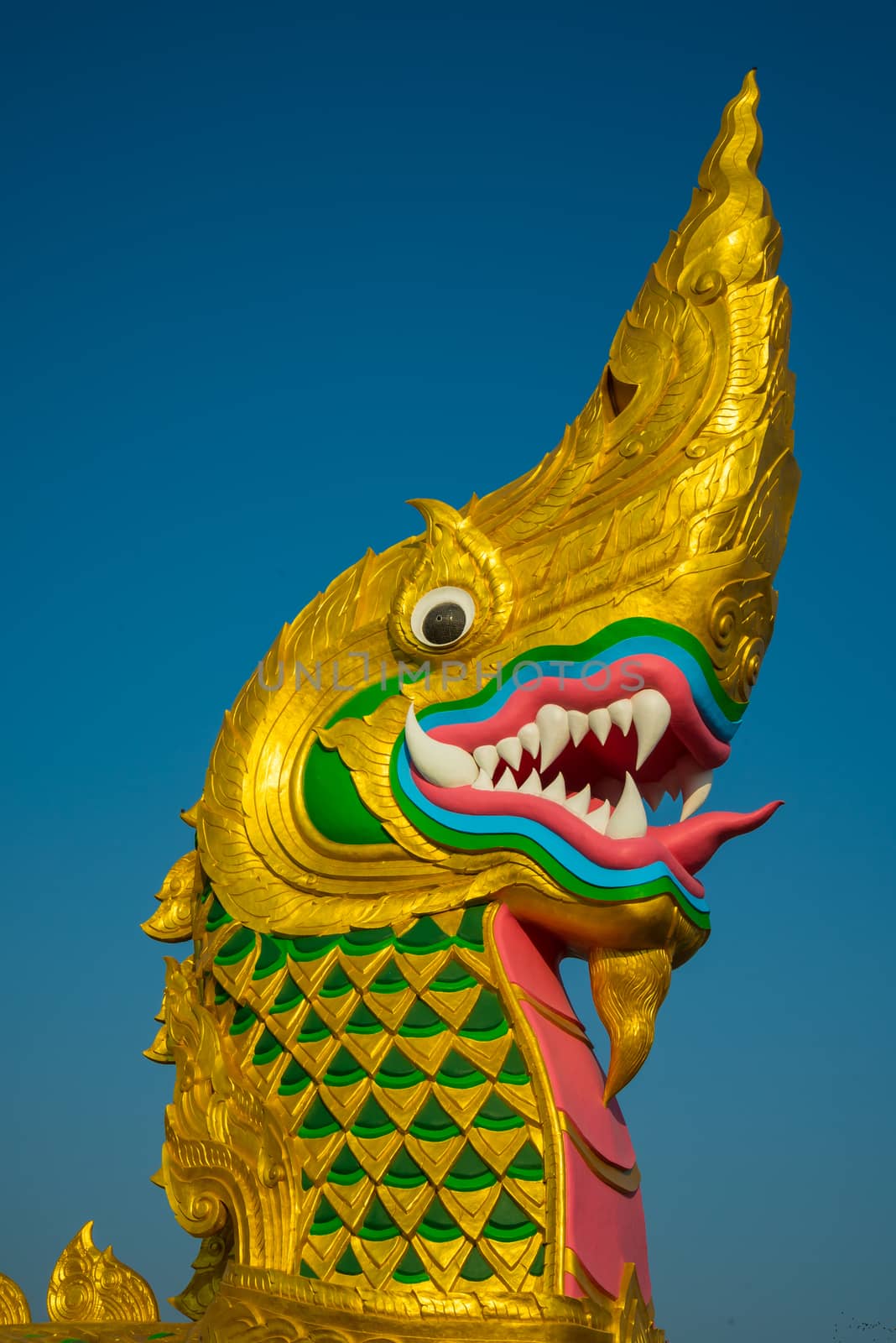 Large golden naga on the blue sky background.