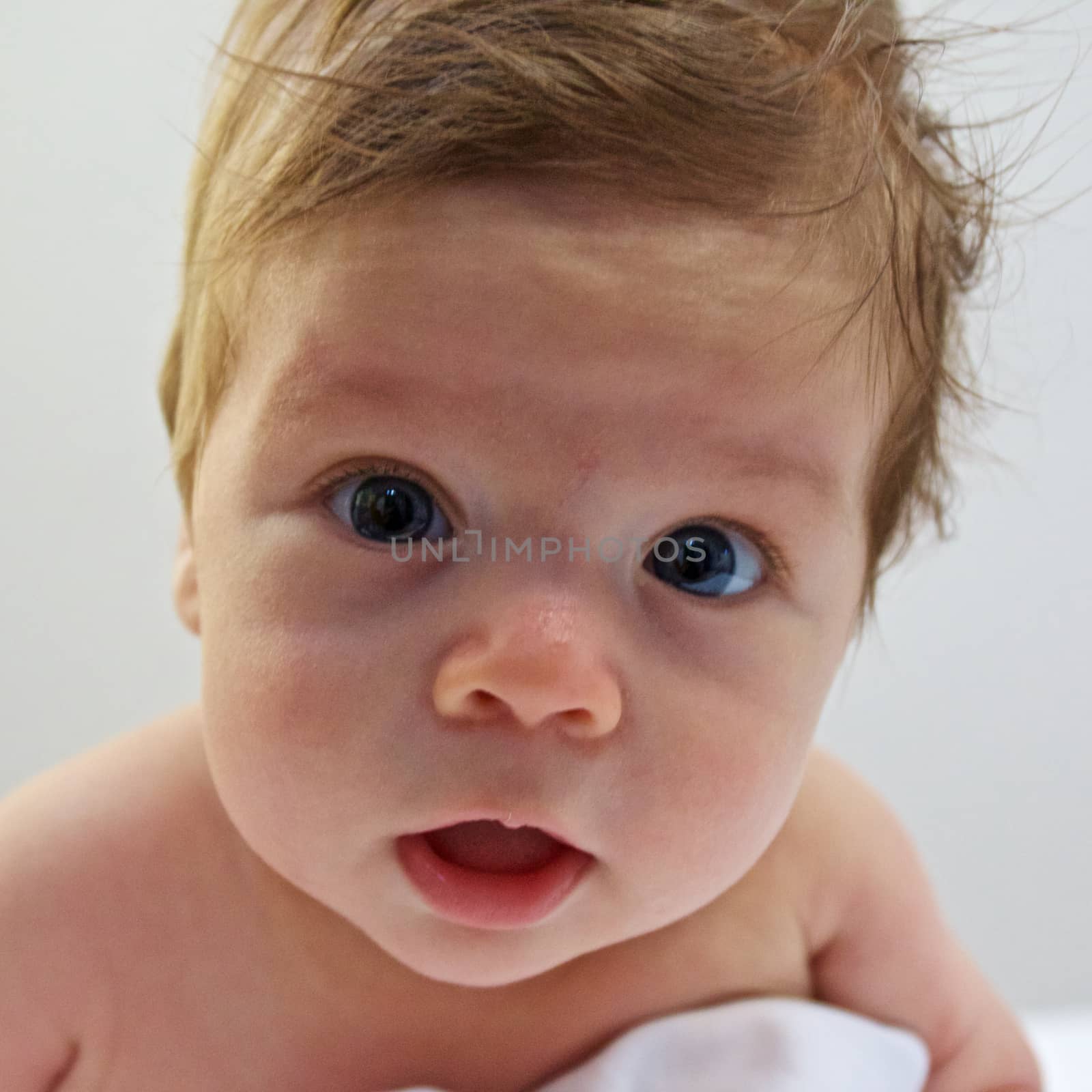 Newborn Baby Boy Looking Straight Ahead with White Background