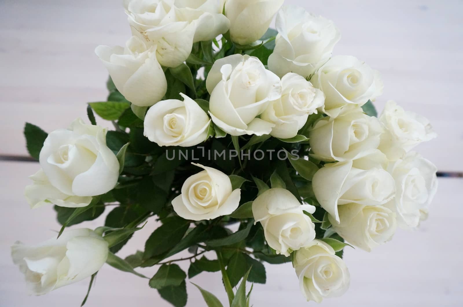 White roses by mariellehoystad@hotmail.com