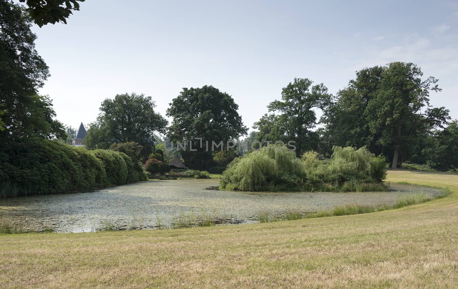 big green garden with water pond and decorated plants and trees