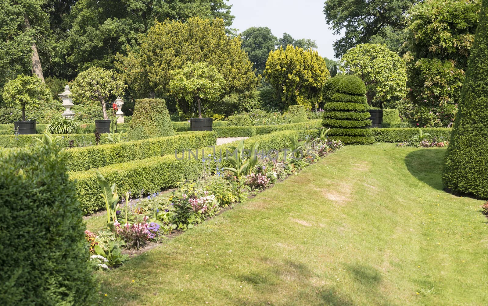 big green garden with levels and borders 