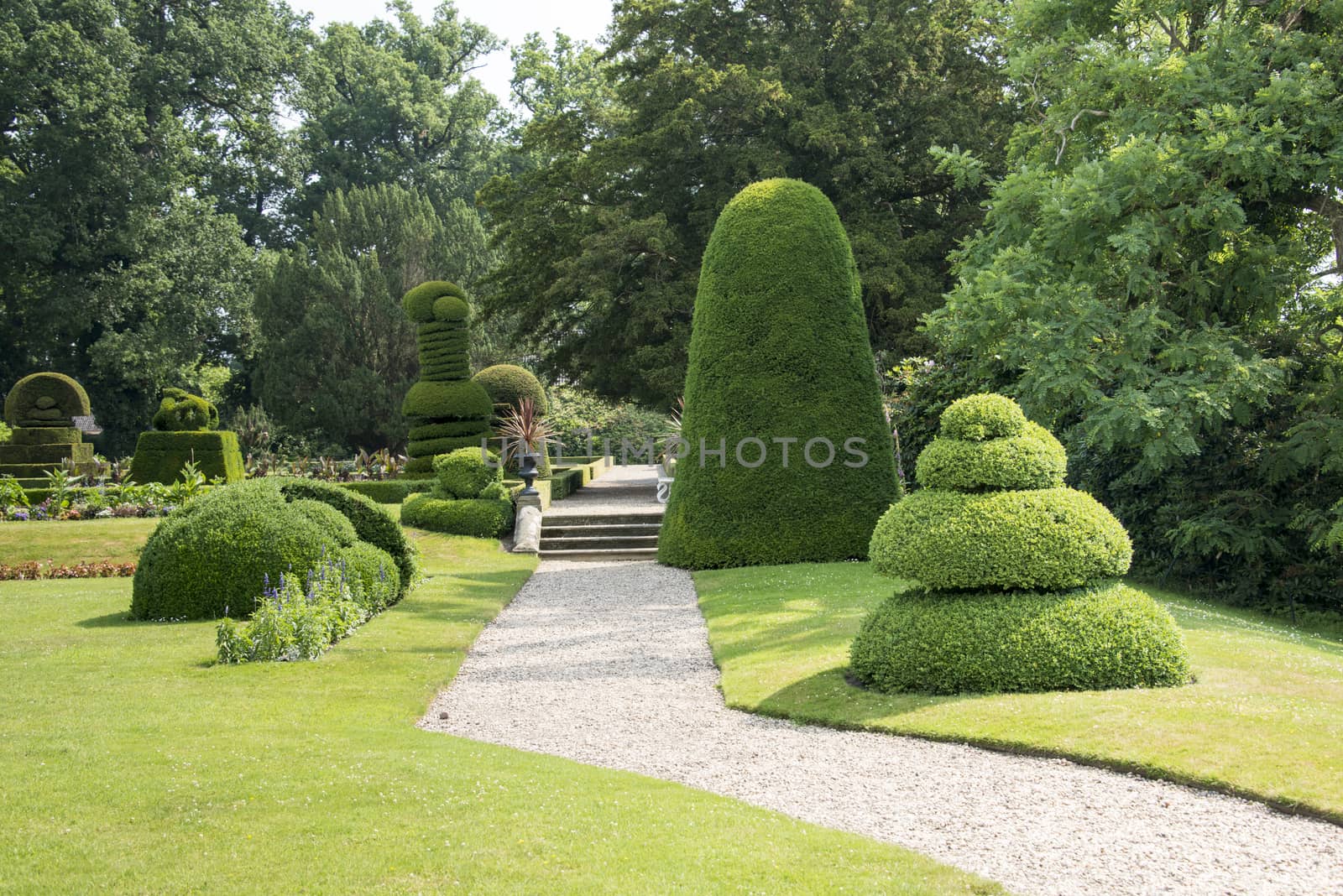 big park with trees and buxus plants by compuinfoto