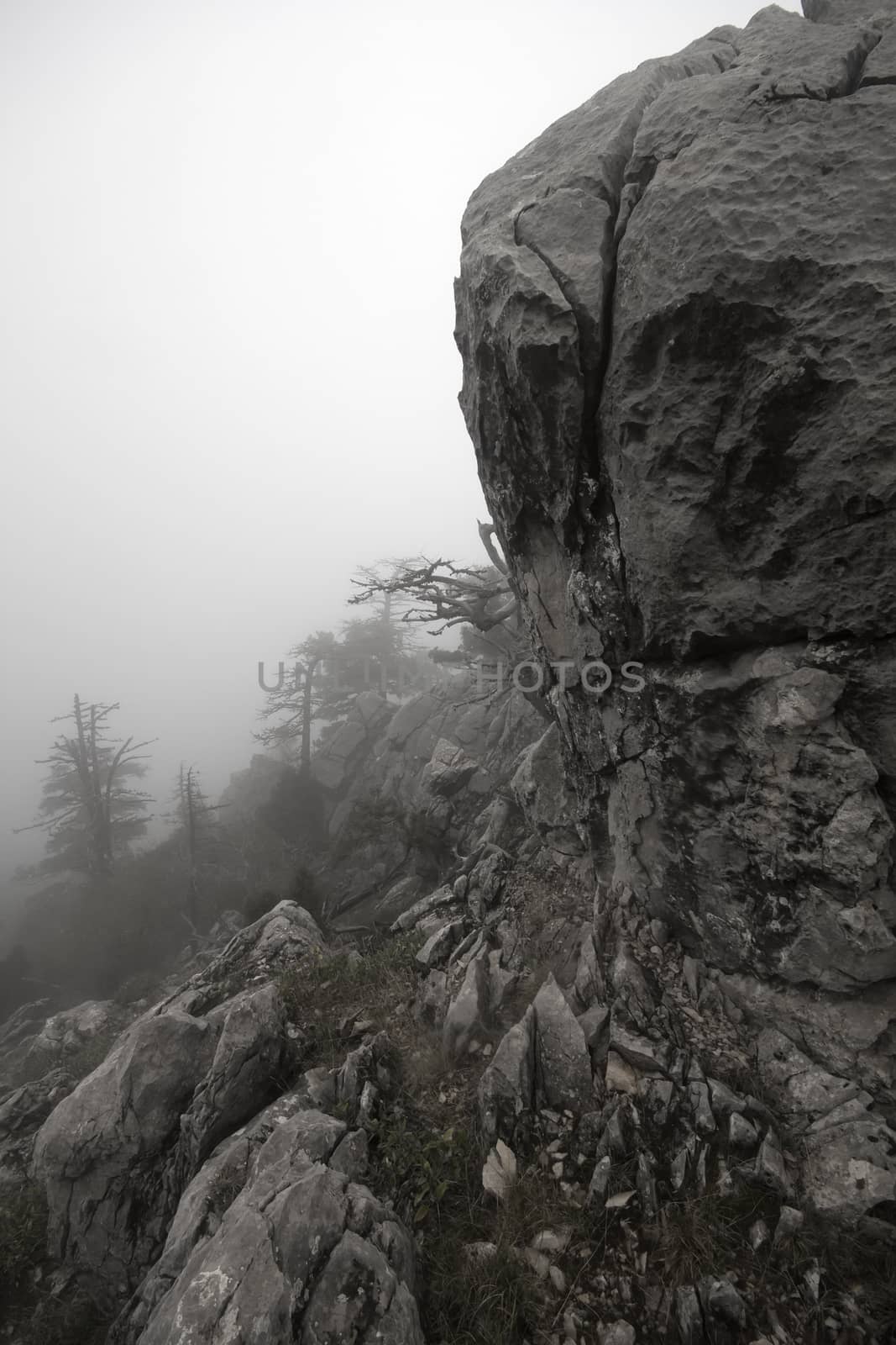  top of mountain in fog by max51288