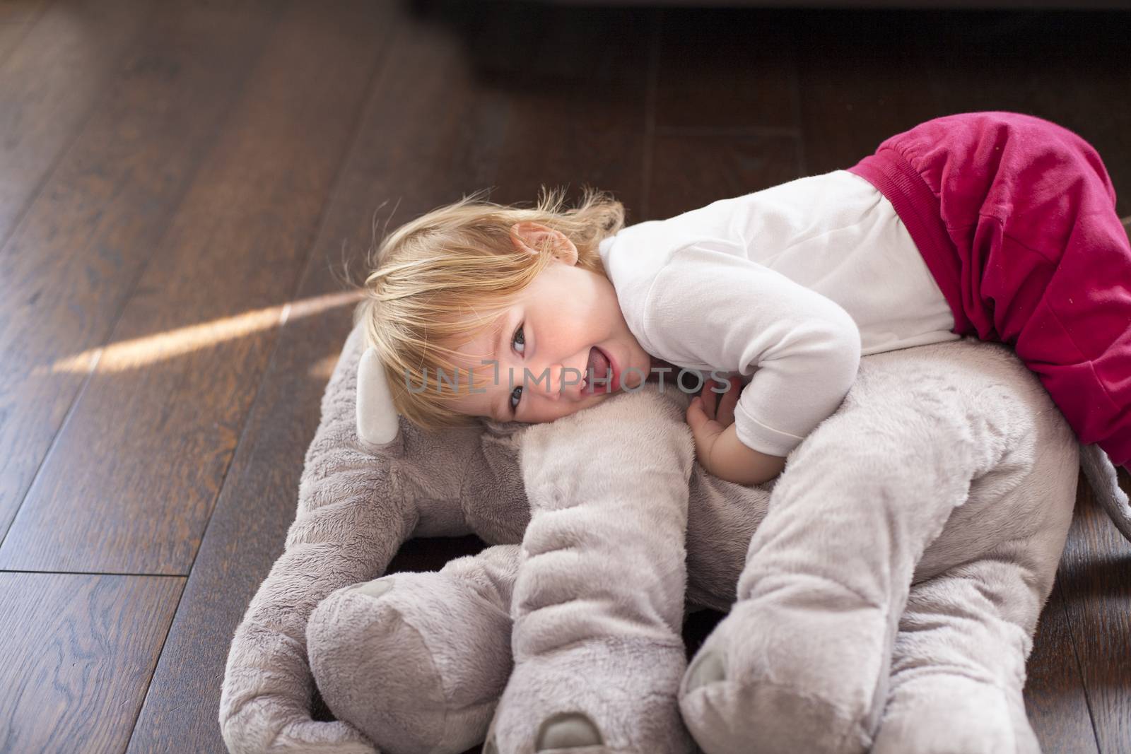 portrait of happy blonde caucasian baby nineteen month age looking at camera smiling  face embraced grey plush doll on brown wooden floor