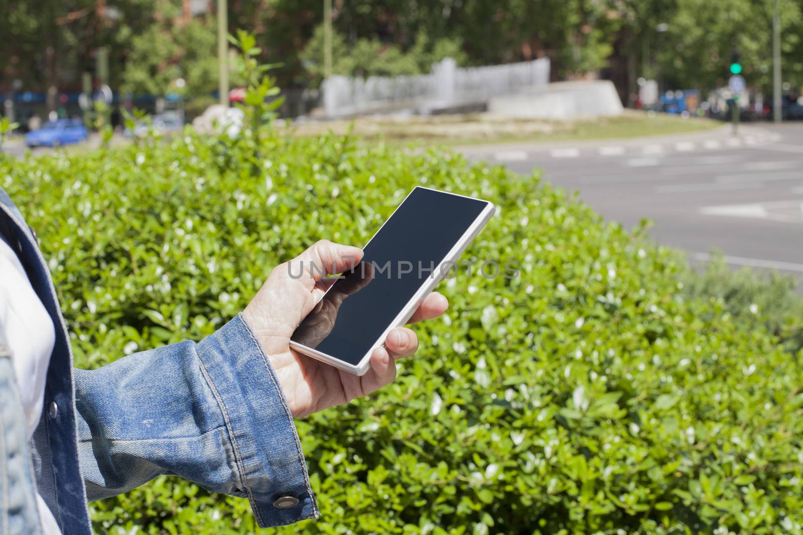 hand of woman blue jeans jacket with mobile phone smartphone blank screen in her hands green bush in urban street