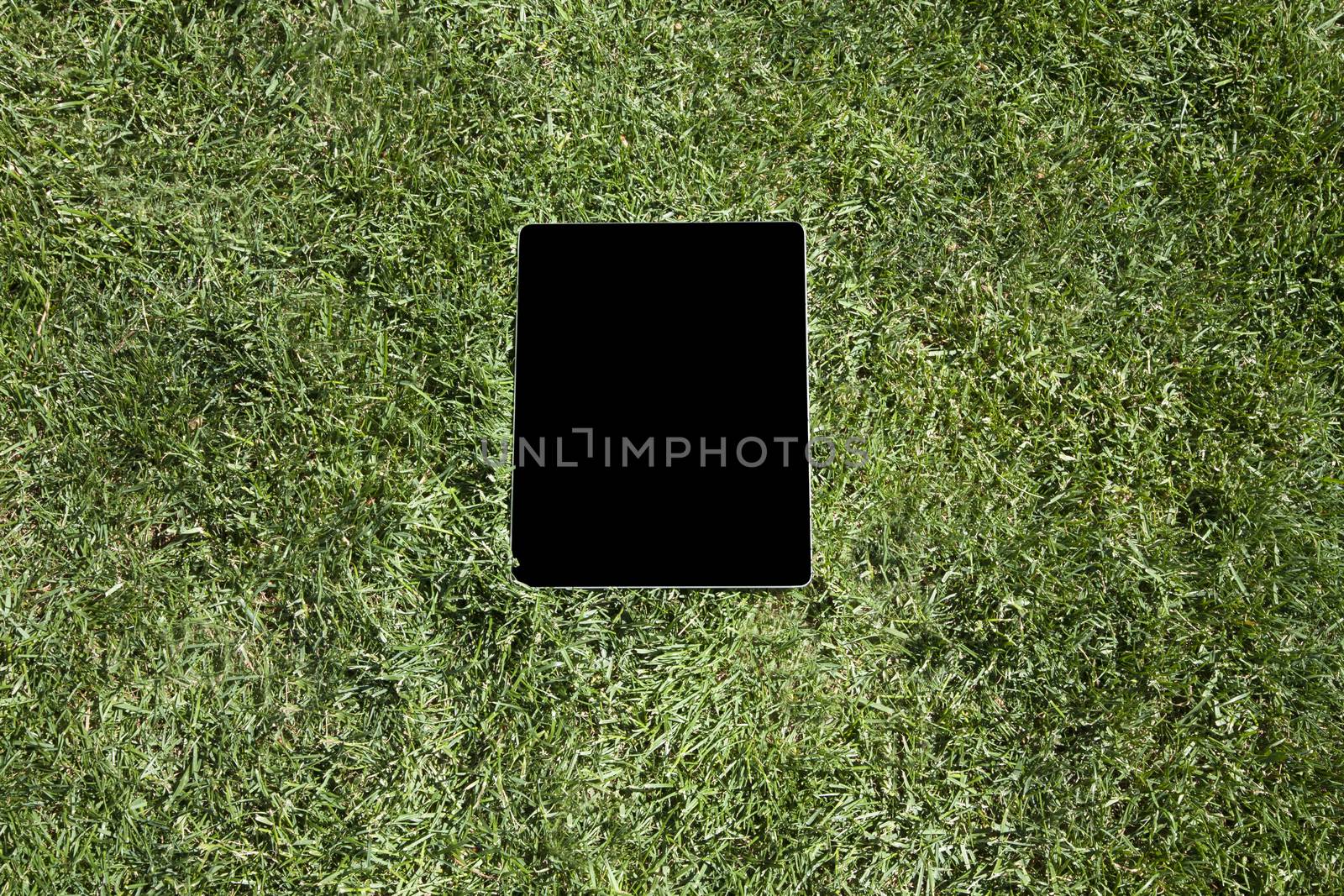 blank screen tablet on grass by quintanilla