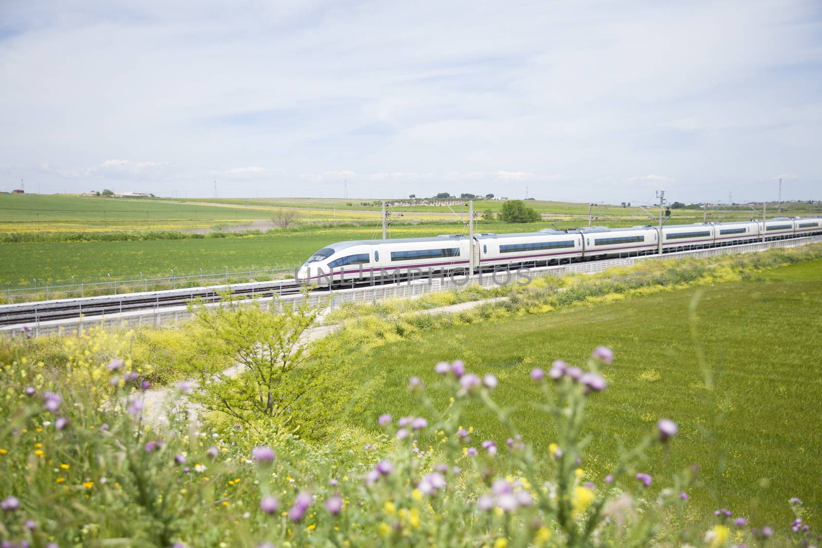 fast train in landscape by quintanilla