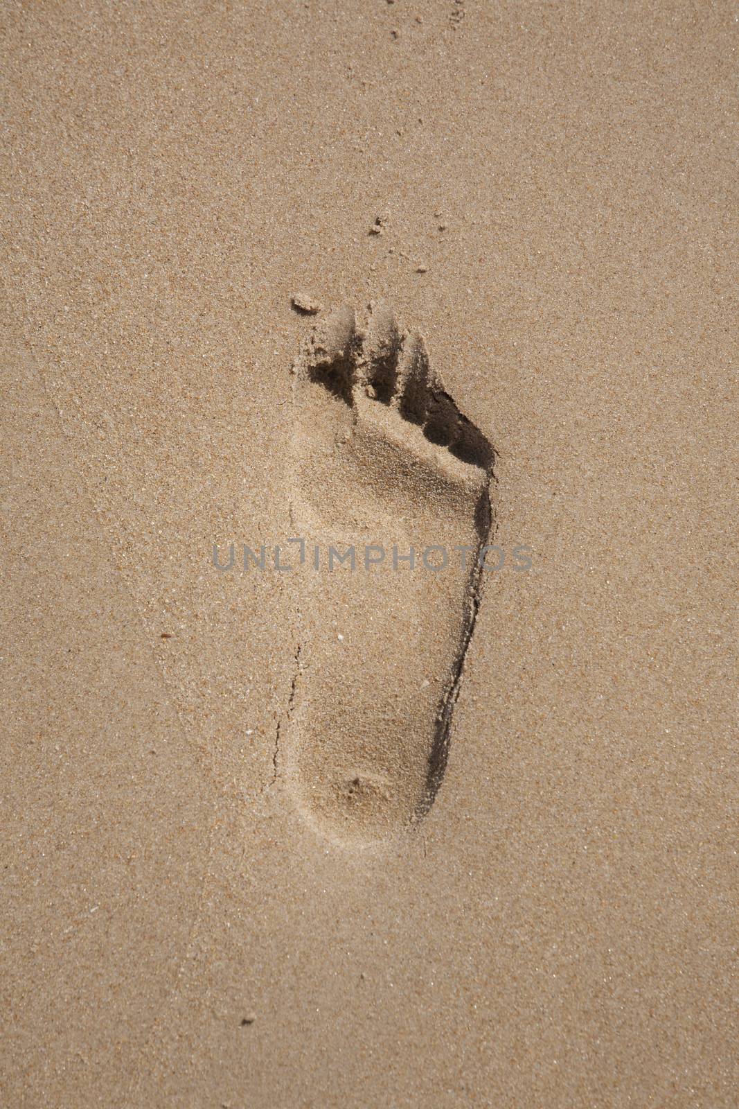 footprint one right feet on brown sand beach seaside