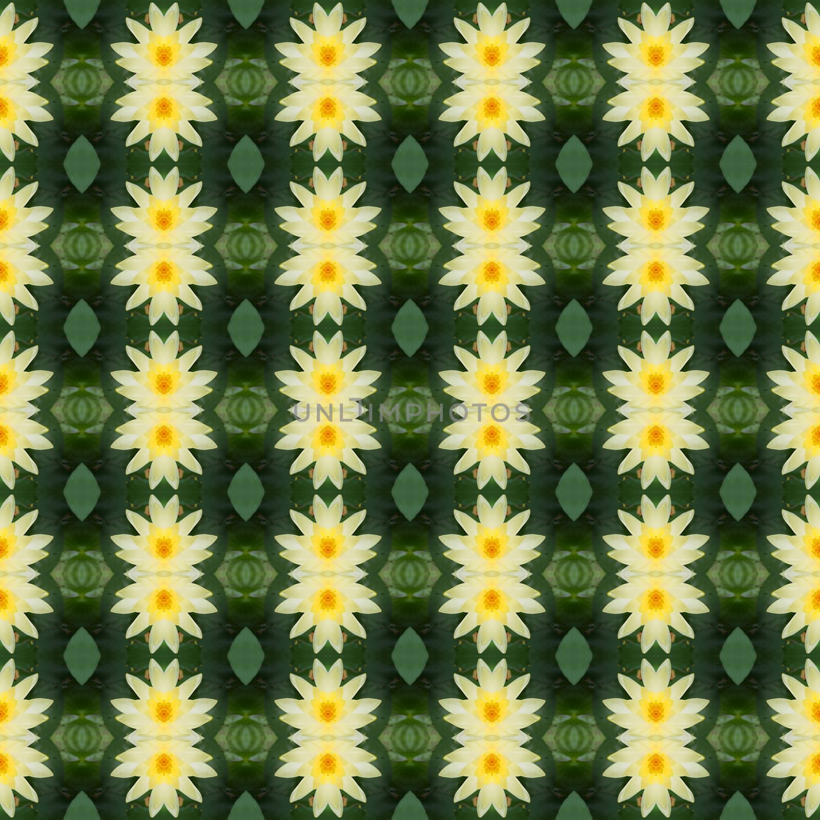 Yellow lotus in full bloom seamless use as pattern and wallpaper.