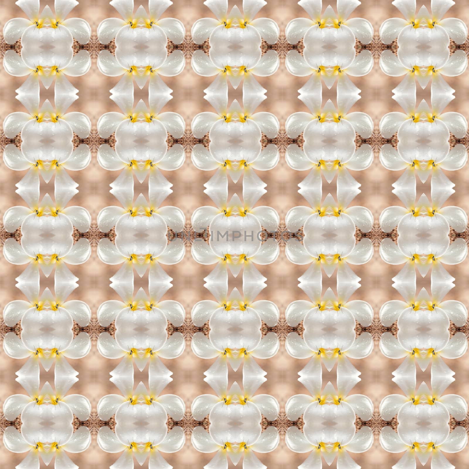 Seamless pattern for design by jimbophoto
