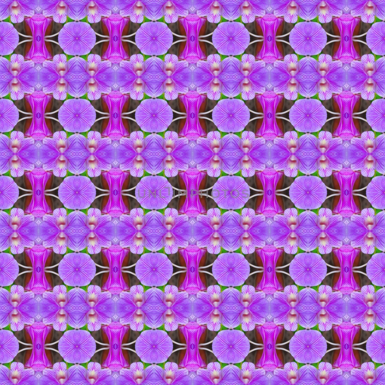 
Purple orchids, a bouquet of flowers are in full bloom seamless use as pattern and wallpaper.