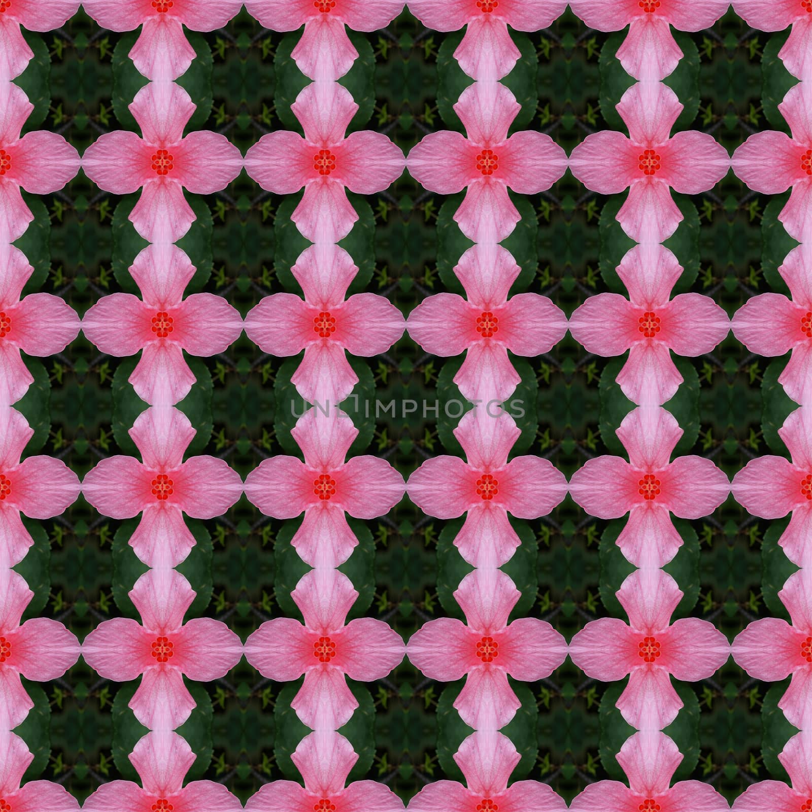 Pink hibiscus flower in full bloom seamless use as pattern and wallpaper.
