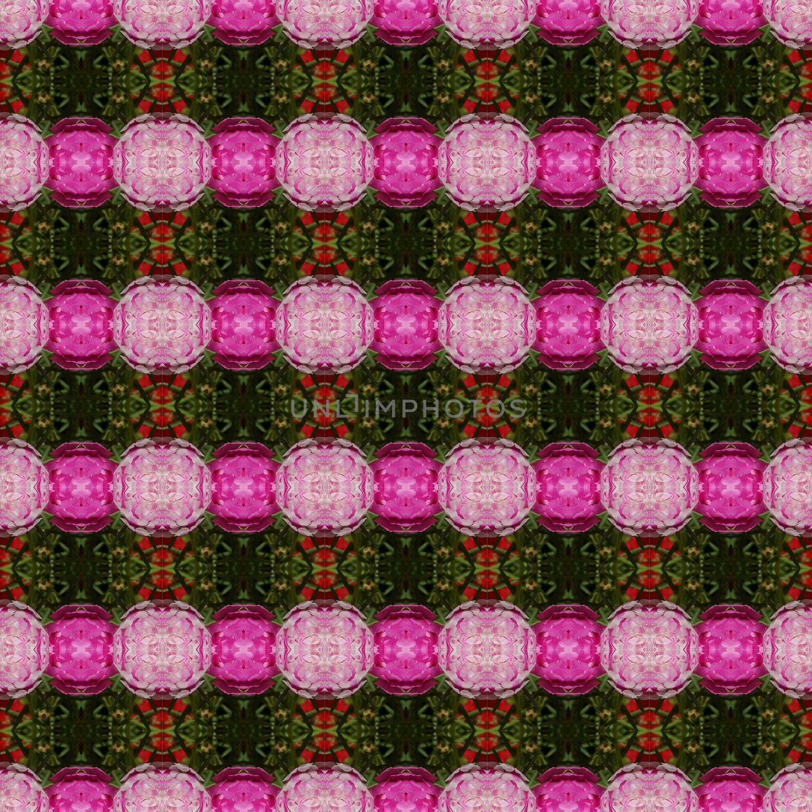 Portulaca flower, small flower planted in the garden, have pink color seamless use as pattern and wallpaper.