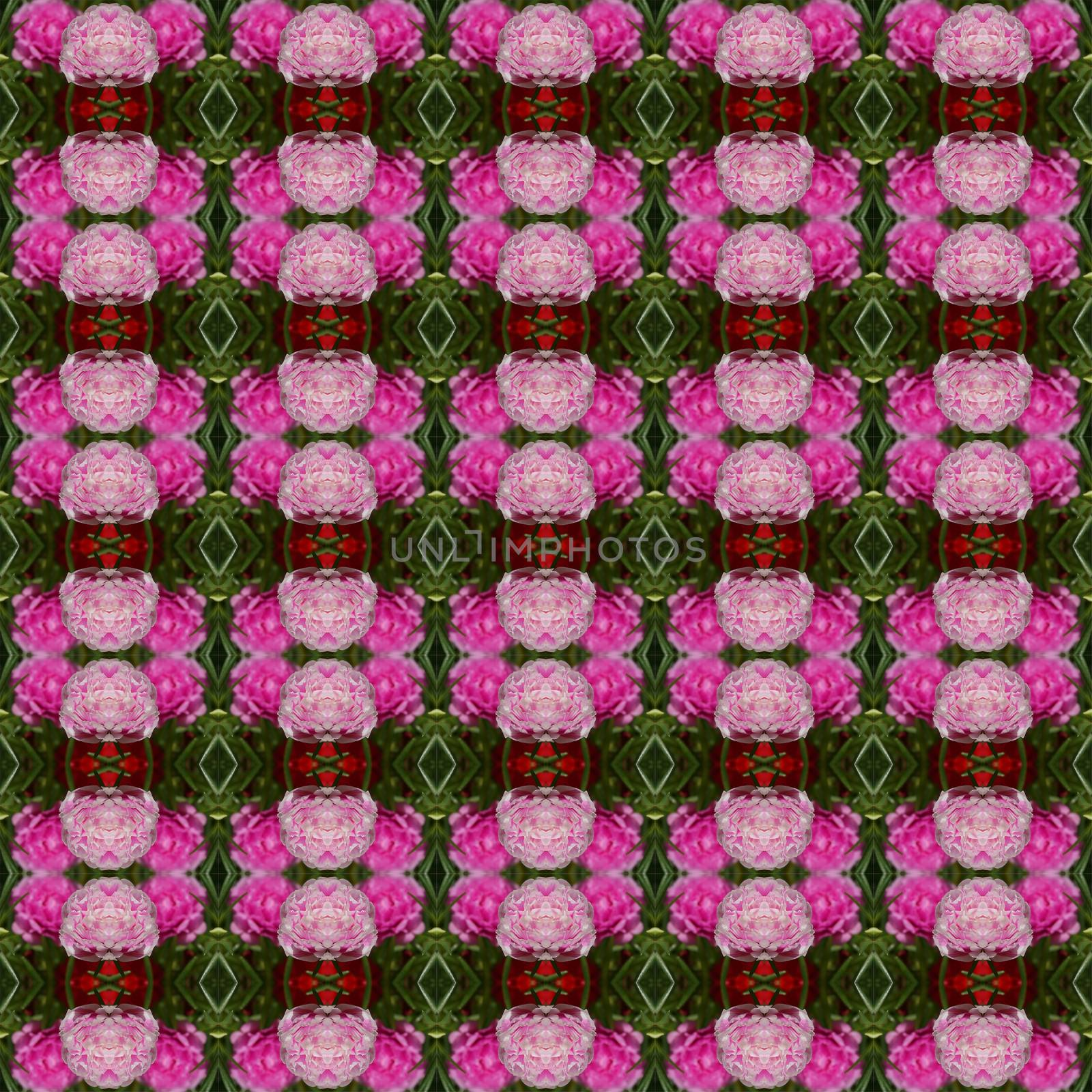 Portulaca flower, small flower planted in the garden, have pink color seamless use as pattern and wallpaper.