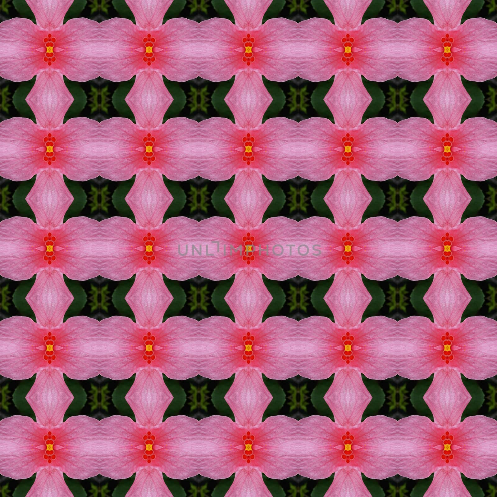 Pink hibiscus flower in full bloom seamless use as pattern and wallpaper.