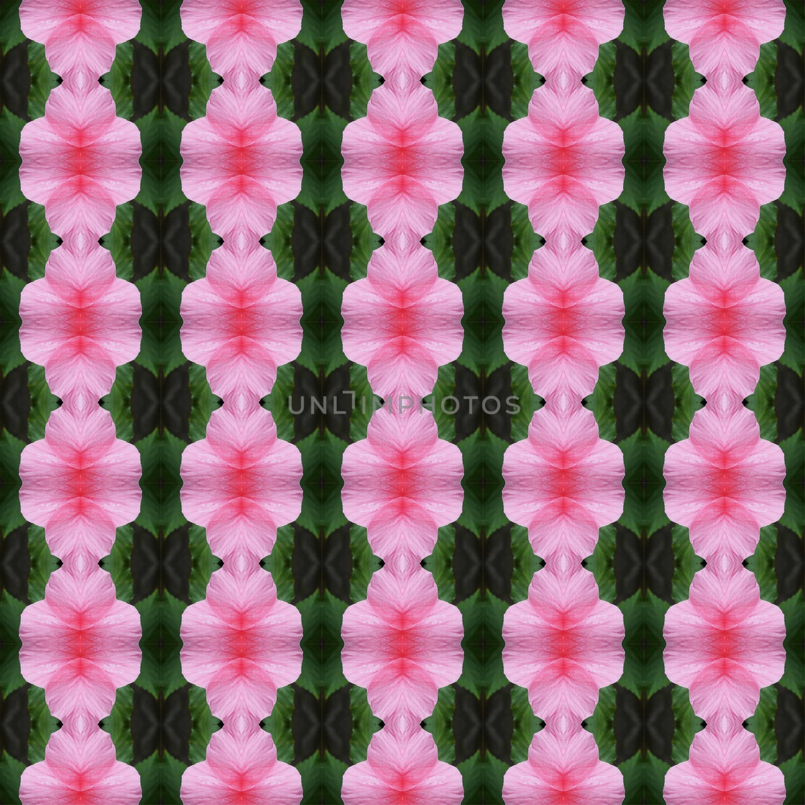 Pink hibiscus flower in full bloom seamless use as pattern and wallpaper.