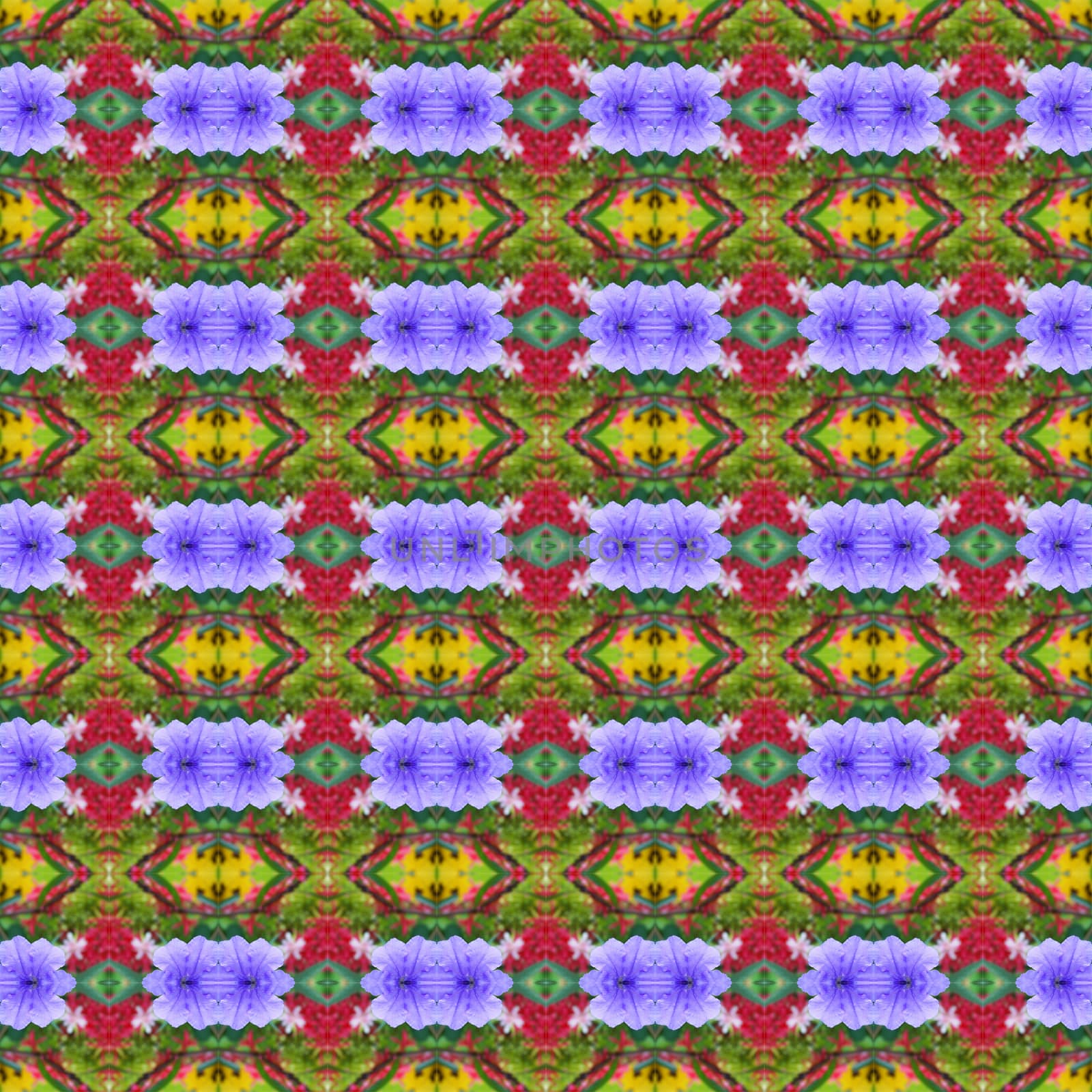 Ruellia tuberosa Linn, bright purple in full bloom seamless use as pattern and wallpaper.
